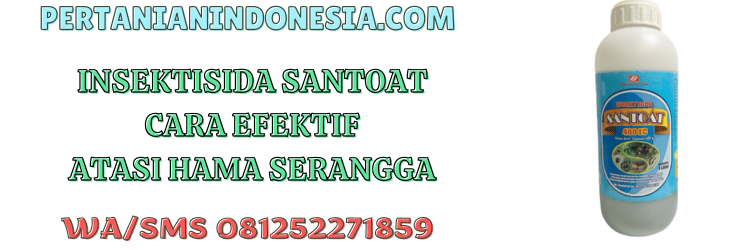 insektisida,santoat,santoat 500 ec,pestisida,santani agro,pertanian indonesia